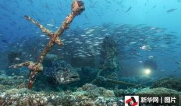 大洋深处在线观看,大洋深处在线观看之旅